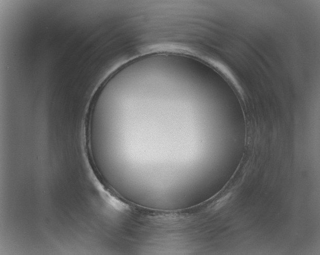 X0000073440999200607281026