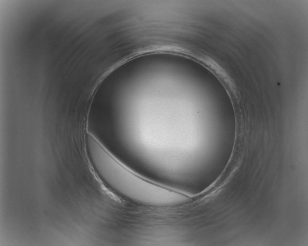 X0000073441001200607281026