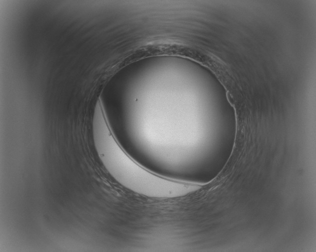 X0000073441014200607281025