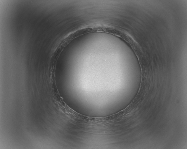 X0000073441016200607281025