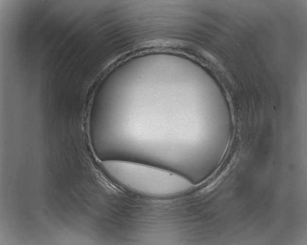 X0000073441017200607281025