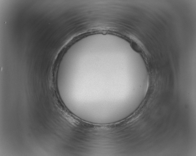 X0000073441023200607281026