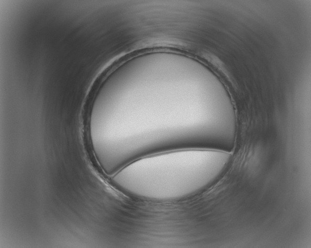 X0000073441024200607281026