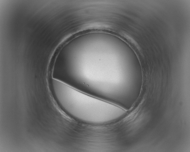 X0000073441029200607281026