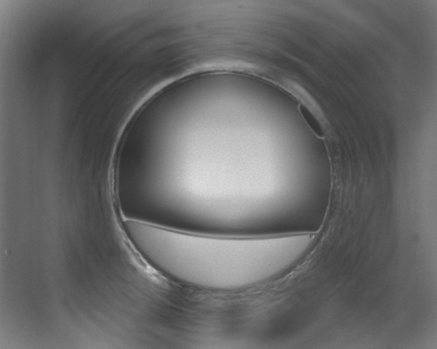 X0000073441044200607281026