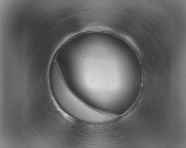 X0000073441046200607281026