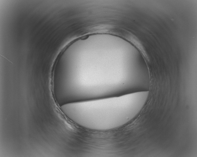 X0000073441051200607281026
