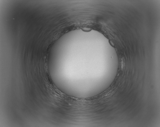 X0000073441059200607281025