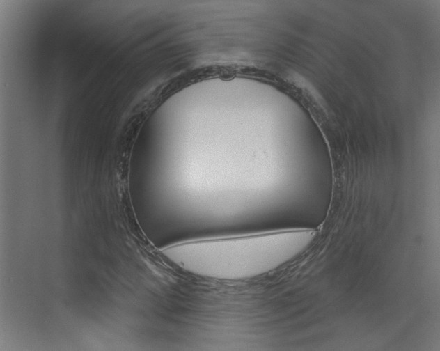 X0000073441064200607281025