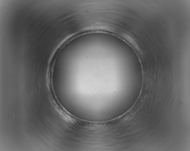X0000073441076200607281025