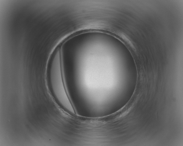 X0000073441077200607281025