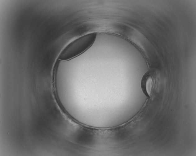 X0000073441087200607281025