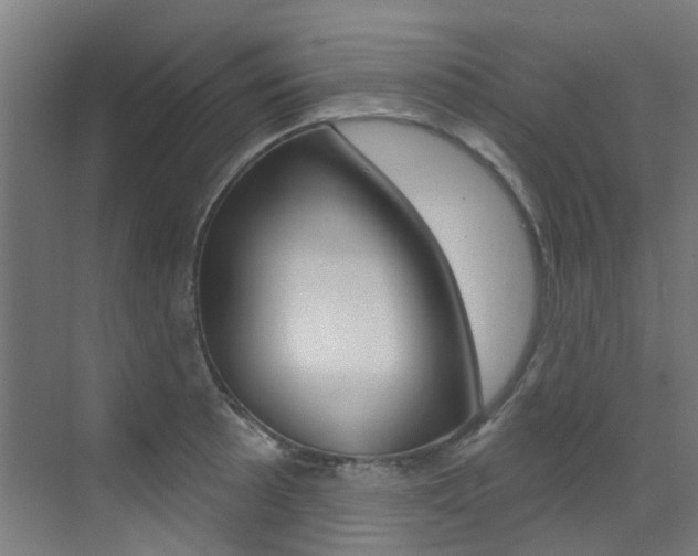 X0000073441089200607281025