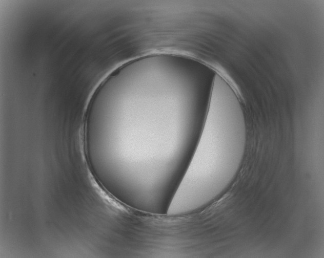 X0000073441100200607281025