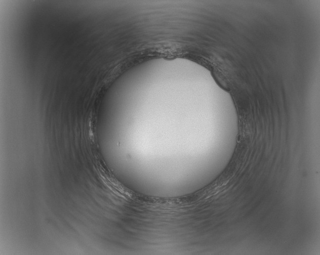 X0000073441106200607281024