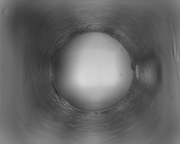 X0000073441107200607281024