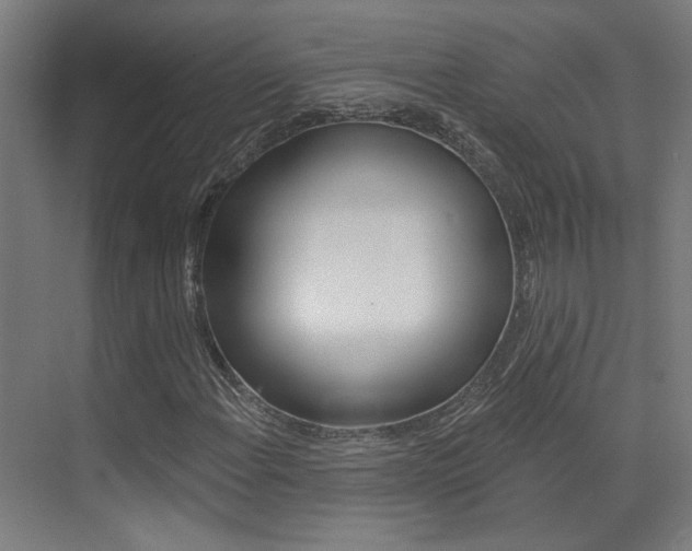 X0000073441108200607281024