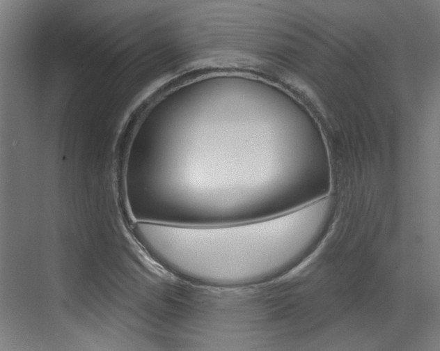 X0000073441114200607281024
