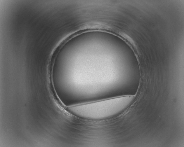 X0000073441120200607281024