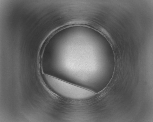 X0000073441124200607281024