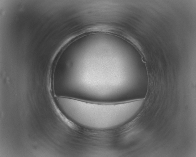 X0000073441131200607281024