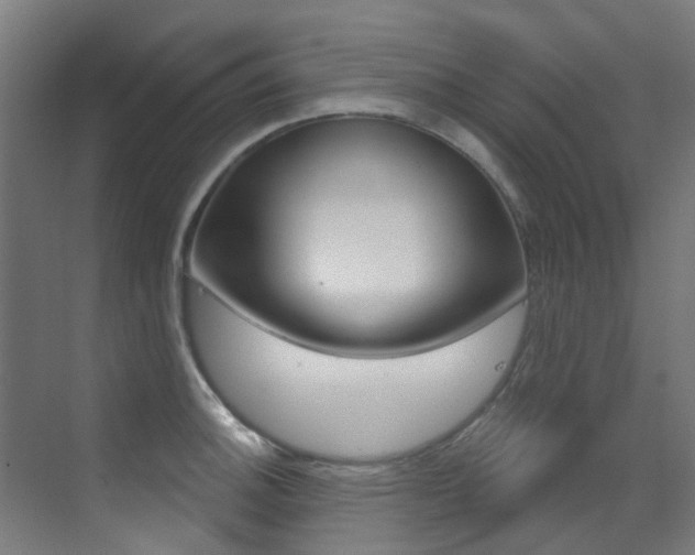 X0000073441140200607281024