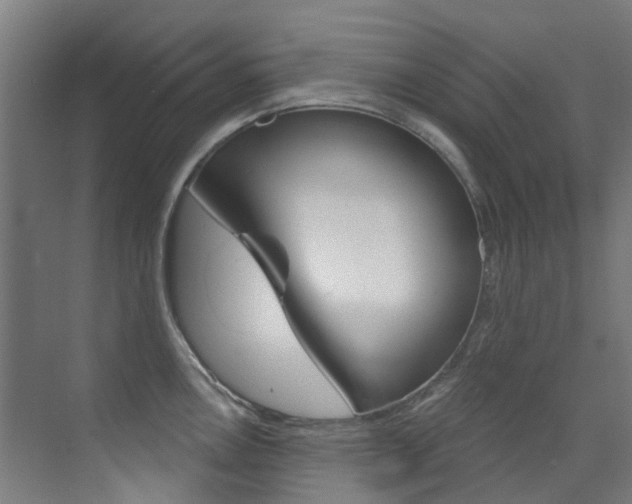 X0000073441146200607281024