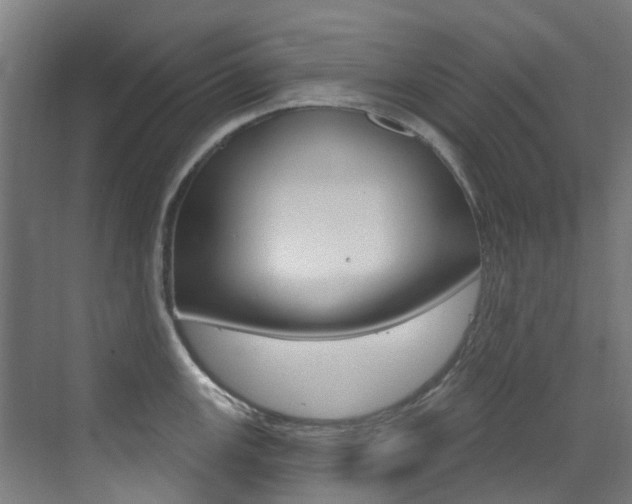 X0000073441147200607281024