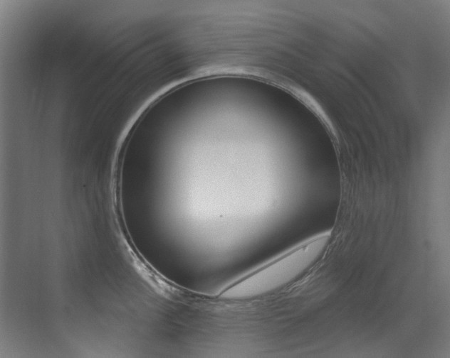 X0000073441148200607281024