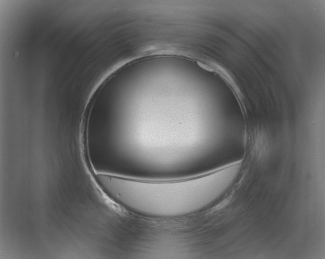 X0000073441149200607281024