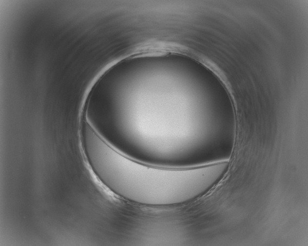 X0000073441152200607281024