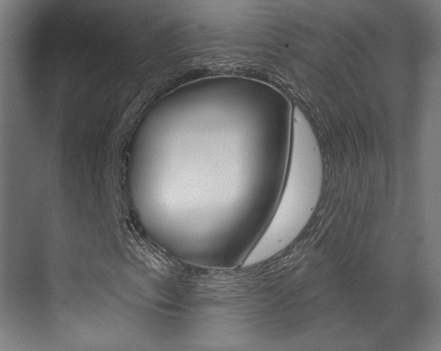 X0000073441153200607281024