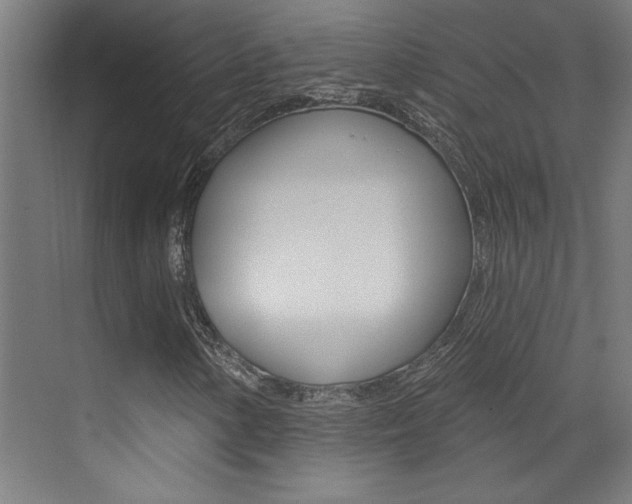 X0000073441154200607281024