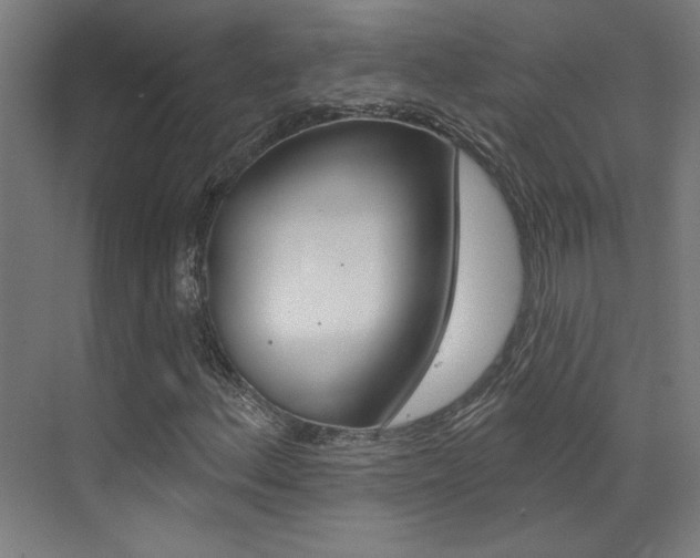 X0000073441156200607281024