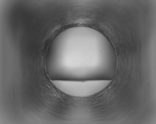X0000073441158200607281024