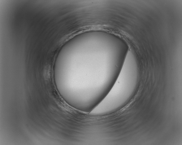 X0000073441161200607281024
