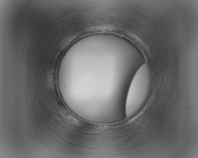 X0000073441162200607281024