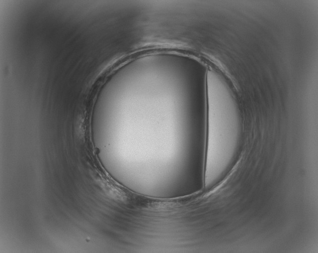 X0000073441163200607281023