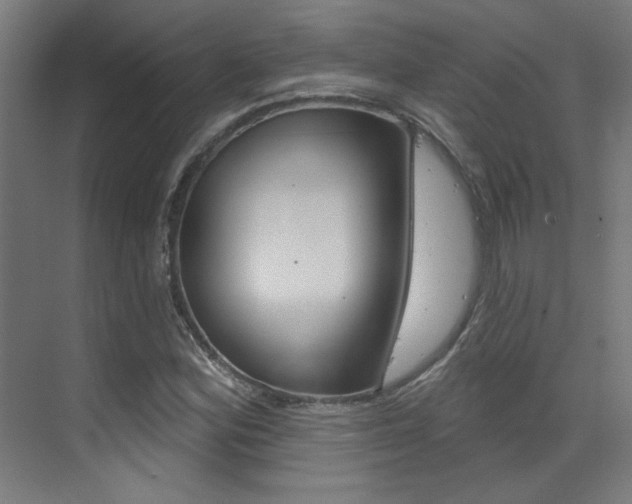 X0000073441164200607281023
