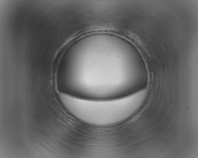 X0000073441165200607281023
