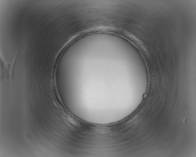 X0000073441170200607281023