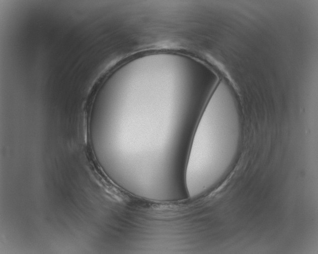 X0000073441171200607281023