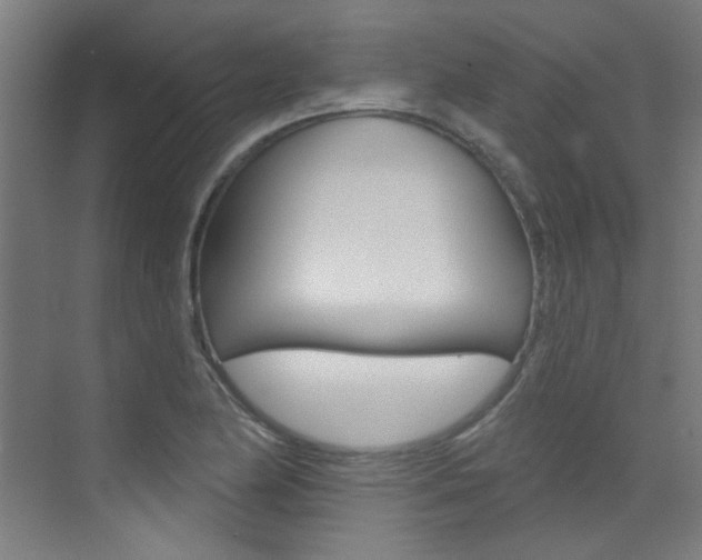 X0000073441174200607281023