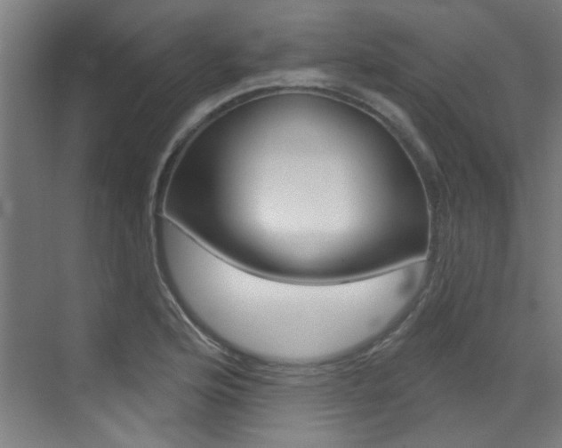 X0000073441176200607281023