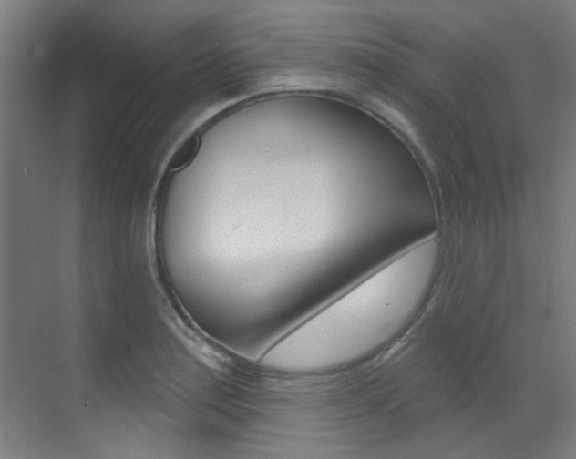 X0000073441179200607281023