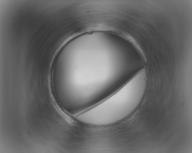X0000073441187200607281023