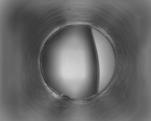 X0000073441189200607281023