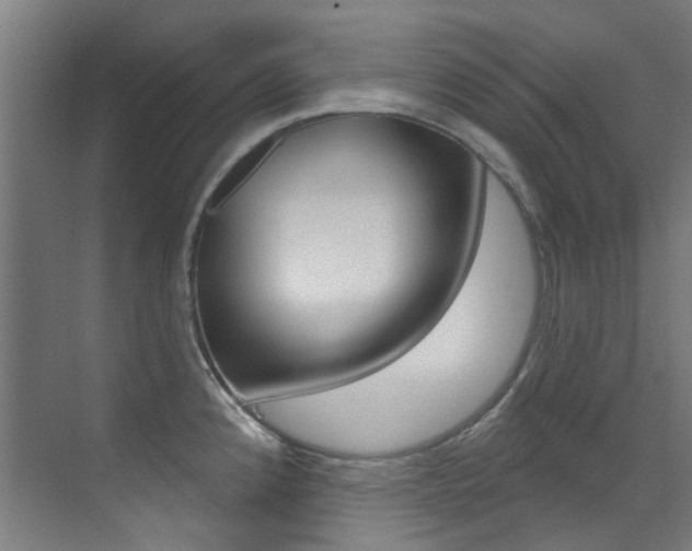 X0000073441192200607281023