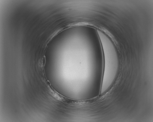 X0000073441193200607281023