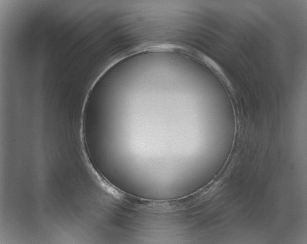 X0000073441194200607281023